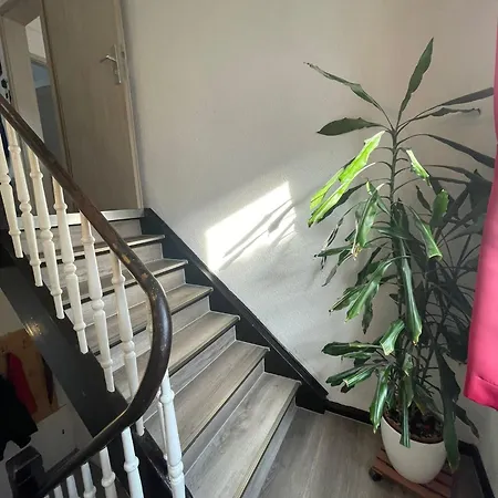 Pansiyon Leo Zentrum Rüsselsheim